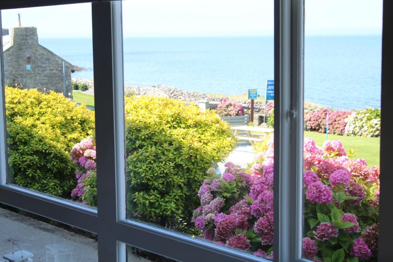 Dolphin Watch Wild Atlantic Way Villa Fanore Eksteriør billede