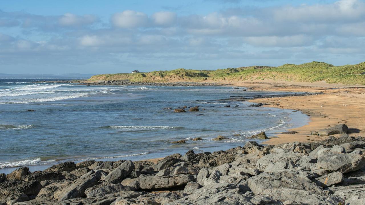Dolphin Watch Wild Atlantic Way Villa Fanore Eksteriør billede