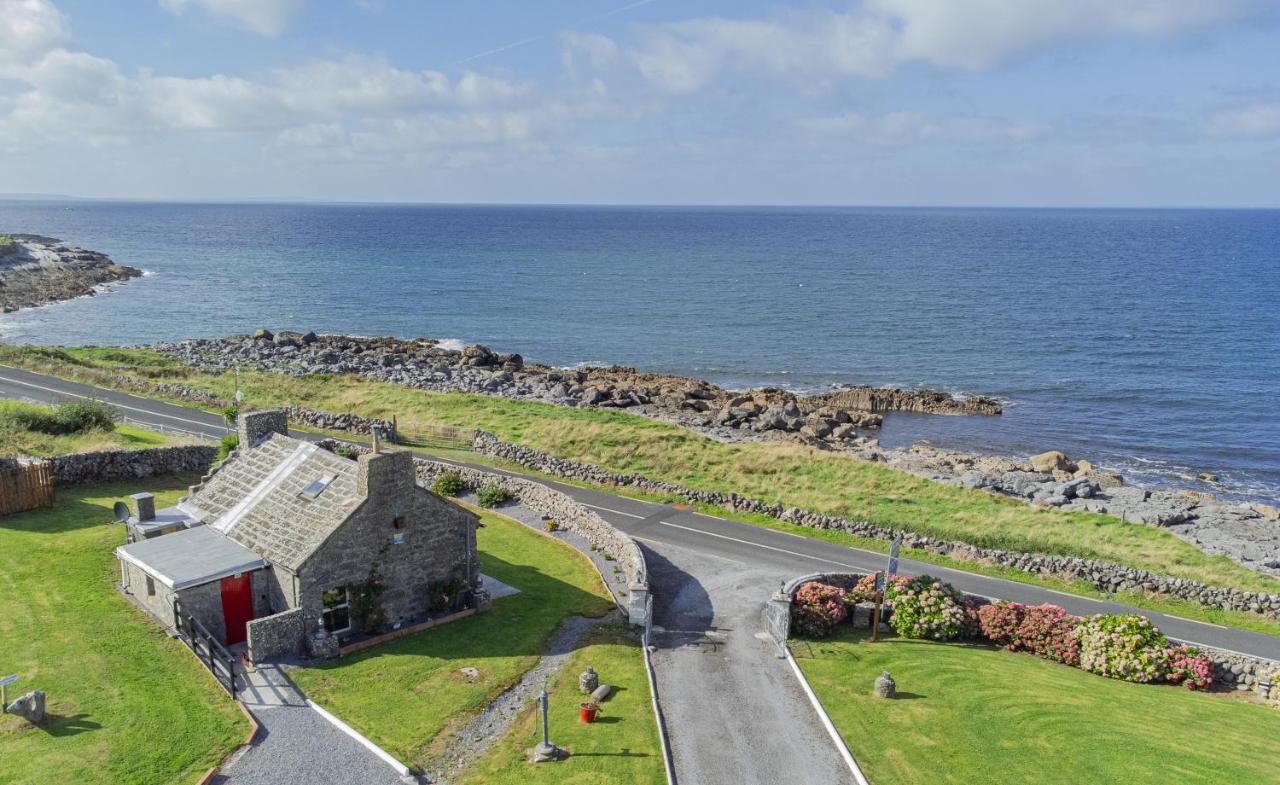 Dolphin Watch Wild Atlantic Way Villa Fanore Eksteriør billede